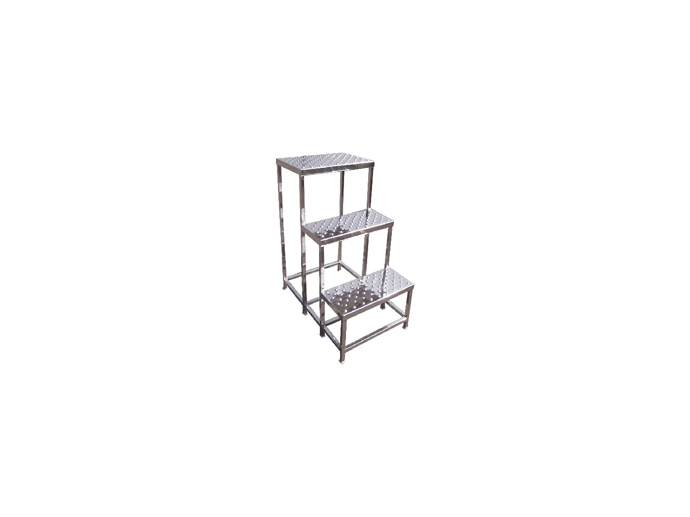 SS Step Ladder